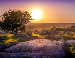 Dartmoor Tales with Tich Scott - Two Bridges Hotel - Monday 8th September 2025